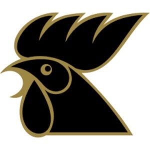 Le Coq Sportif Black and Gold Logo Patch